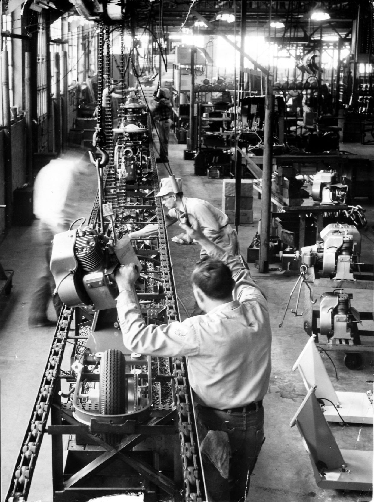 Cushman 1955
